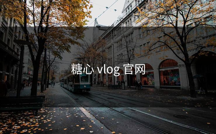 糖心 vlog 官网