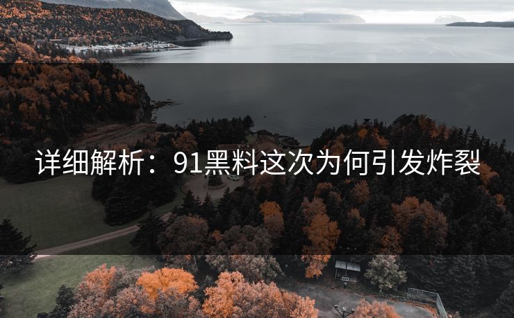 详细解析：91黑料这次为何引发炸裂